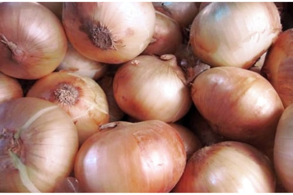 Hành tây - 洋葱 - onion