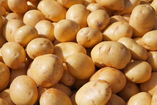 Khoai tây - 土豆  - Potato