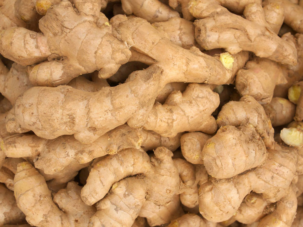 Gừng - 姜 - Ginger
