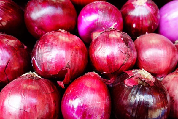 Hành tây ấn độ - 印度洋葱 - Indian onion