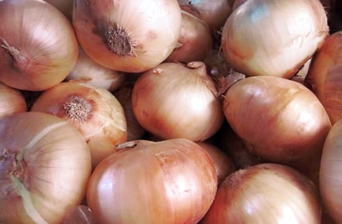 Hành tây trung quốc - 中国洋葱 - Chinese onion