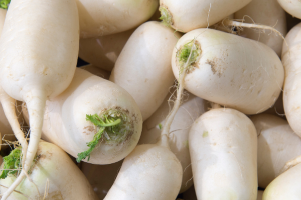 Củ cải trắng -  白萝卜  - Daikon