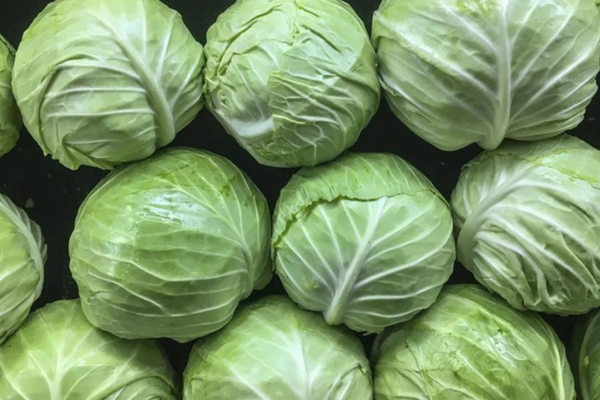 Bắp cải - 包心菜   - Cabbage