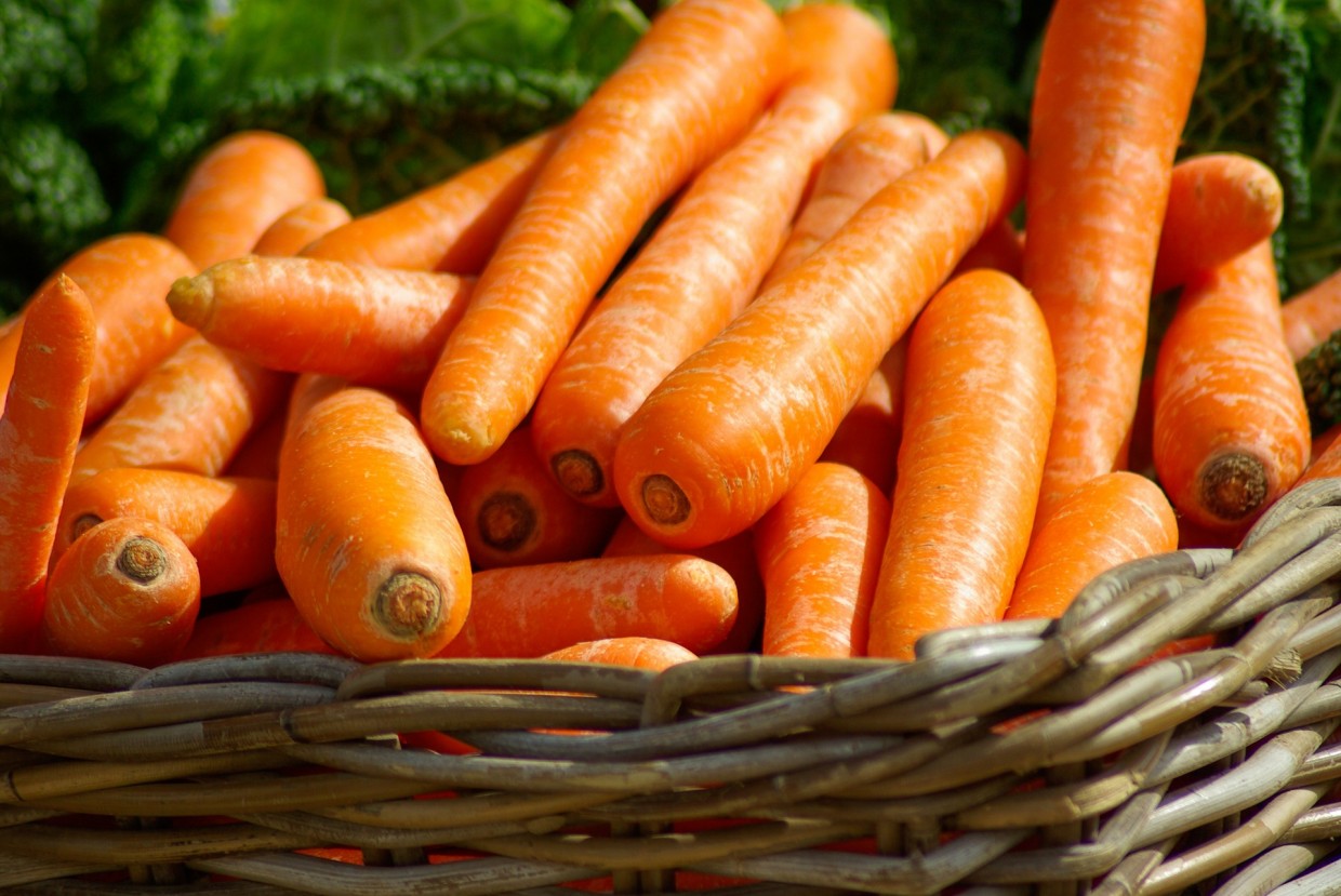 Cà rốt - 胡萝卜 - Carrot