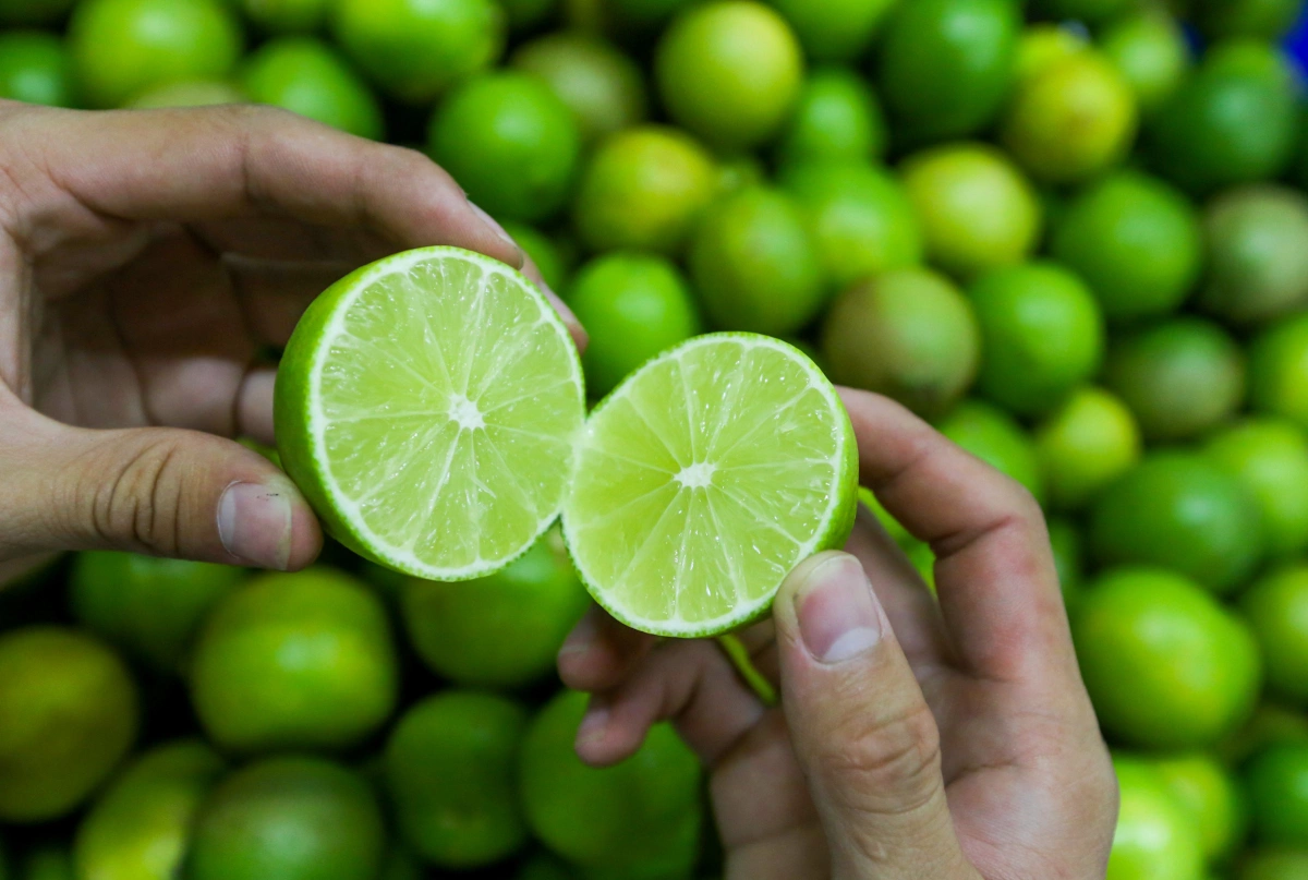Chanh không hạt - 无籽青柠  - Seedless lime
